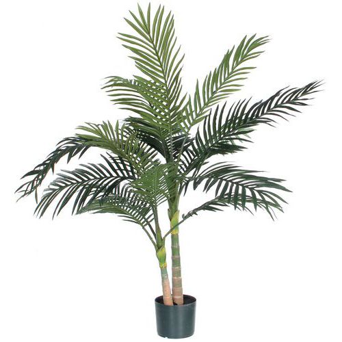 Palm Areca Golden Cane 120 cm - Vepabins